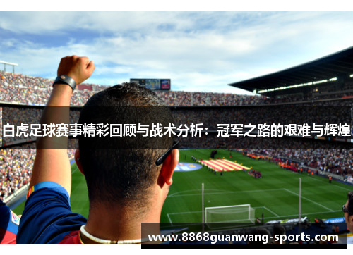 白虎足球赛事精彩回顾与战术分析：冠军之路的艰难与辉煌